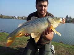 Moara Vlasiei 2 26 - 26 oct.